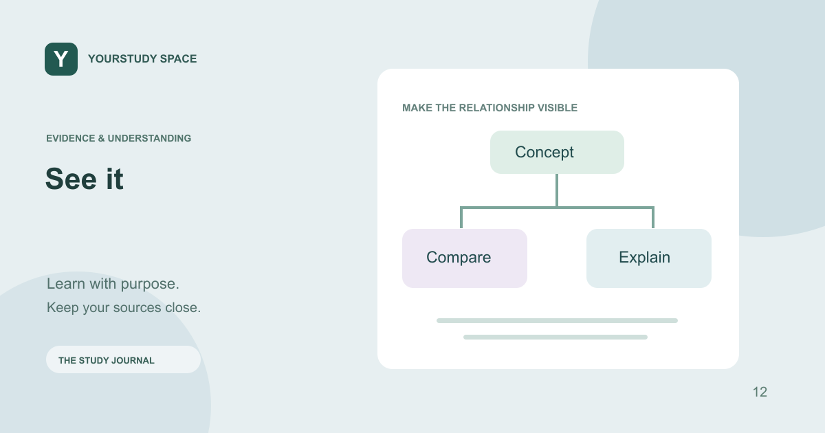Illustrated workflow for See it